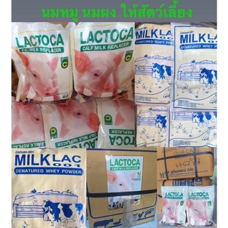 อาหารแทนนมสำหรับสัตว์  มิลคฺแลค (LACTOCA) นมผงแลคโตคา นมผงสัตว์ นมหมู นมวัว นมผงสำหรับสัตว์ ขนาด1kg. นมผงแลคโตคา lactoca