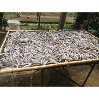 ปลาหลดแดดเดียวขนาด​ 1​กิโลกรัม​