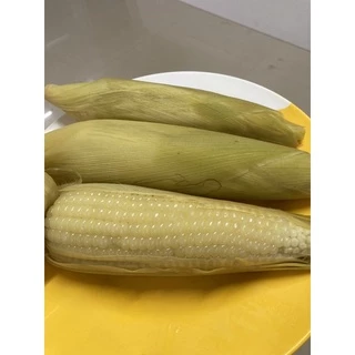 ข้าวโพดปุ้มปุ้ย ข้าวโพดข้าวเหนียวขาว 1 Kg ของใหม่ชัวร์ สิ้นอายุทำพันธ์ 05 / 70