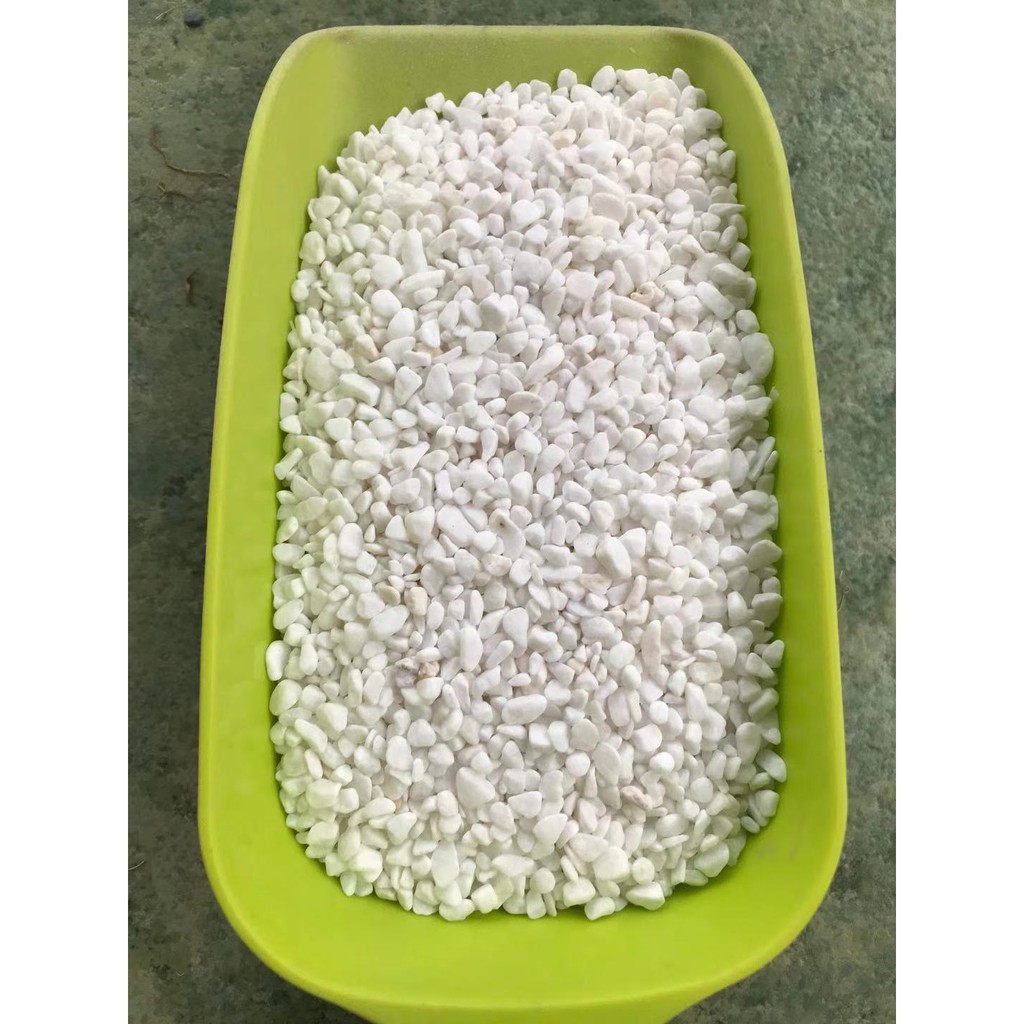Pebble Wash Stone สวนตกแต่งภูมิทัศน์ Aquarium/ Batu Kacang 石米 500g