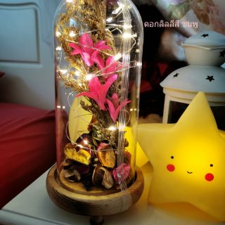 โคมไฟขวดแก้ว LED ดอกลิลลี่, ดอกเดซี่🌹***สวยหรู ใน ราคาย่อมเยา***