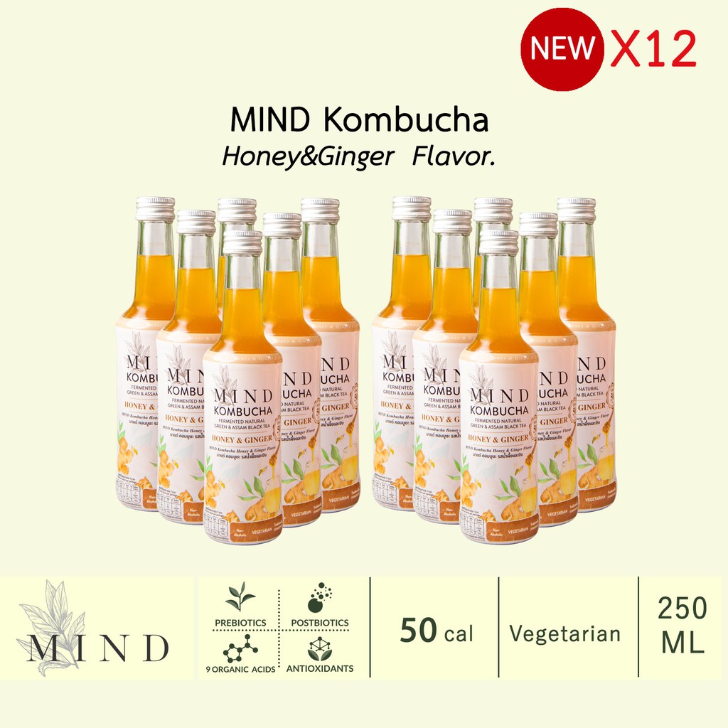 BOX 12 ขวด MIND Kombucha Honey&Ginger Flavor มายด์ คอมบูชา รส น้ำผึ้ง