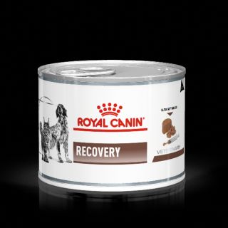 Royal Canin Recovery 195gแพ็คเกจใหม่!!! อาหารสัตว์ป่วย หรือพักฟื้น สุนัข และแมว 1 กระป๋อง