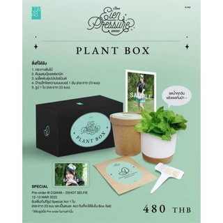 [CGM48]กระถาง+ต้นไม้ Plant Box