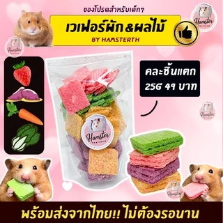 [Hamsterthailand] Furity Wafer เวเฟอร์ ขนมสำหรับสัตว์เลี้ยง แฮมสเตอร์ เม่นแคระ แฟตเทล ชูการ์