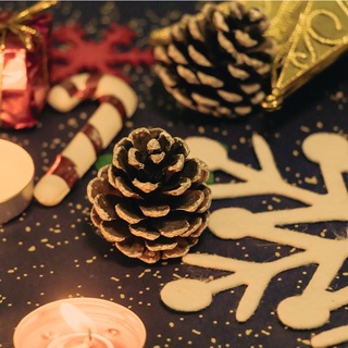 ลูกสน ลูกสนแห้ง คละขนาด 3-5cm. ลูกสนตกแต่ง ของตกแต่ง ต้นคริสมาส คริสมาส Pine Cones / Pine cone for Decoration Christmas