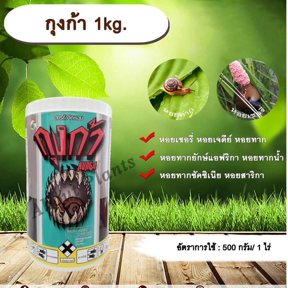กุงก้า 1kg. เมทัลดีไฮด์ สารกำจัดหอย เบื่อหอย เบือหอย หอยเชอรี่ หอยทาก หอยเจดีย์ หอยศัตรูพืช หว่านกำจัดหอย allaboutplants