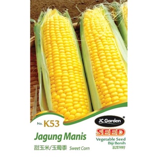 HMC K53 SWEET CORN JC GARDEN VEGETABLE SEED GARDENING PLANTING TANAMAN SAYURAN BIJI BENIH JAGUNG MANIS ข้าวโพดหวาน向日葵/园艺