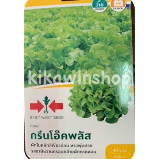 เมล็ดพันธ์ุ ผักสลัด กรีนโอ๊คพลัส ศรแดง