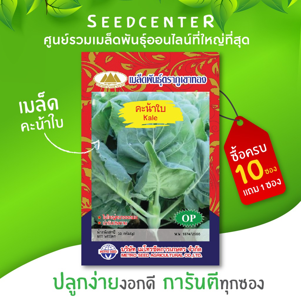 เมล็ดคะน้าใบ ขนาด 10 กรัม ภูเขาทอง