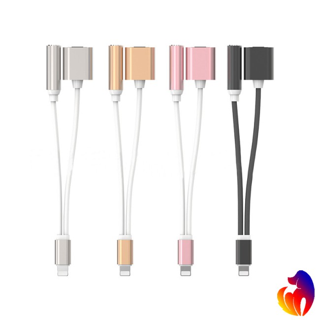 2in1 Lightning to 3.5mm Audio Headphone Adapter Charger Cable Converter