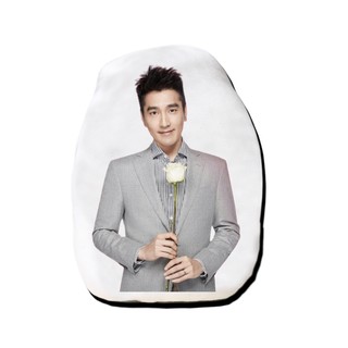 หมอนไดคัท สั่งทำ ตุ๊กตา ตุ๊กตาหน้าเหมือน หมอนตุ๊กตา เจ้าโย่วถิง Mark Chao เยี่ยหัว สามชาติสามภพป่าท้อสิบหลี่