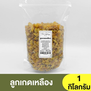 ลูกเกดเหลือง Yellow Raisins (แบ่งขาย 250 g. - 1 kg.)