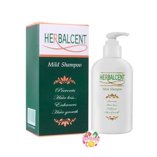 แหล่งขายและราคาHerbalcent Mild Shampoo 120 ml Exp.2024 เฮอร์บาลเซ็นท์ มายด์ แชมพู 120 มล.อาจถูกใจคุณ