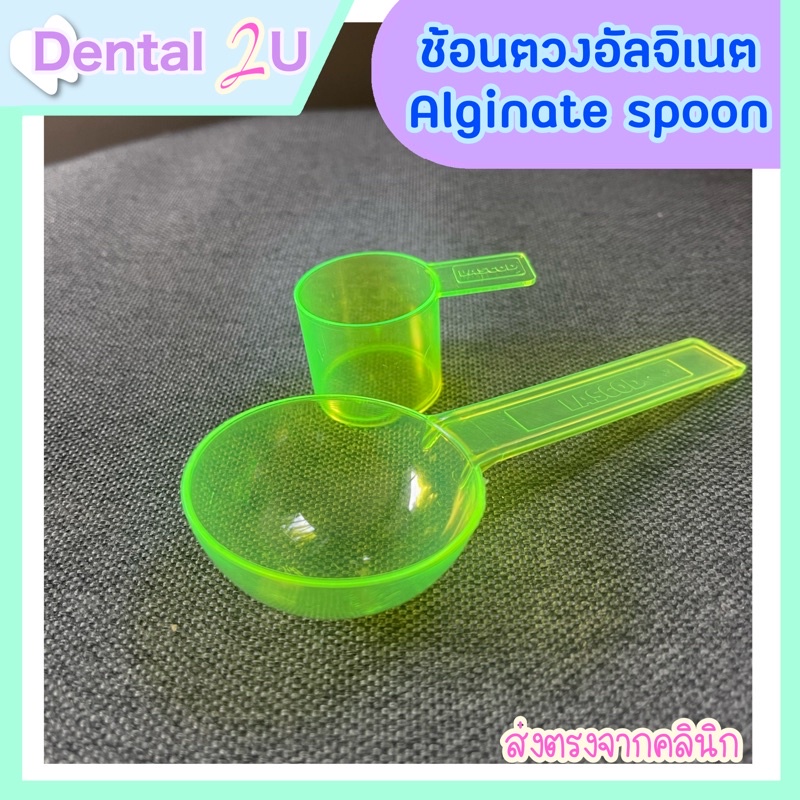 ช้อนตวงอัลจิเนต Alginate spoon