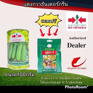 เมล็ดพันธุ์ แตงกวาธันเดอร์กรีน ขนาดบรรจุ  100 กรัมแถมกูซิก้าจีซองเล็ก