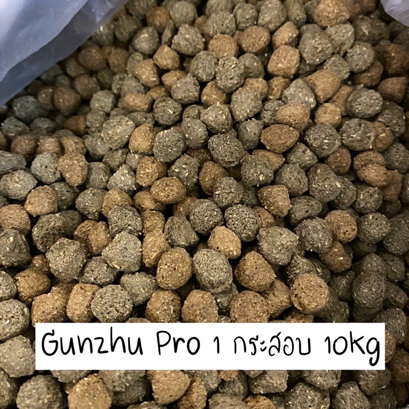อาหารเต่าบก กันจูโปร  สูตรใหม่ 1 กระสอบ 10 โล ถุงใหม่ (Exp.19/03/27)