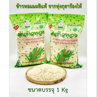 ข้าวหอมมะลิใหม่คัดพิเศษ ตราต้นข้าวทอง 1 กก.