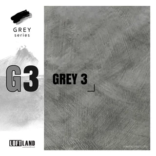สีลอฟท์ Grey Series 1-6 เฉพาะสี