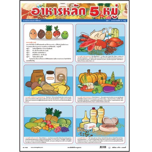 โปสเตอร์ อาหารหลัก 5 หมู่ PV025 โปสเตอร์พลาสติก สื่อการเรียนการสอน สื่อ ...