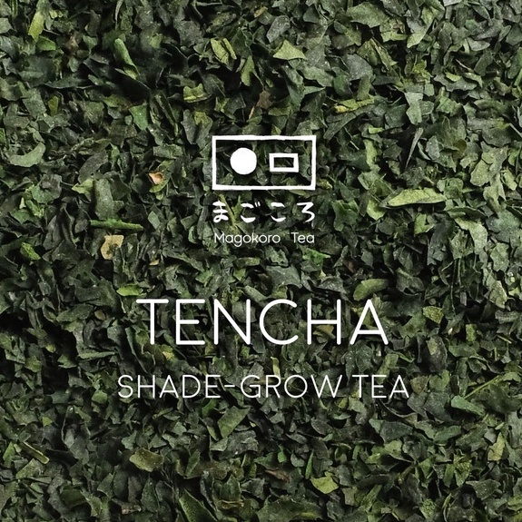 ต้นกำเนิดมัทฉะ ใบชาเขียวเทนฉะ (Tencha) เปิดประสบการณ์ ชาเขียวญี่ปุ่นคลุมใบก่อนถูกบดเป็นมัทฉะ by มีใจให้มัทฉะ 40g.