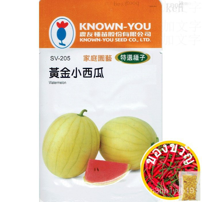 เมล็ดราชอาณาจักร ทองแตงโมขนาดเล็ก Watermelon (sv-205)  【ผลไม้และผักเมล็ด】เมล็ดพันธุ์พิเศษสำหรับต้นกล