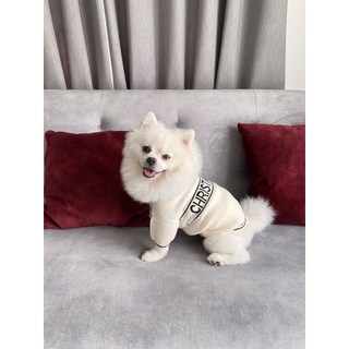 🐶🐱New Christian Dior Sweater🐱🐶