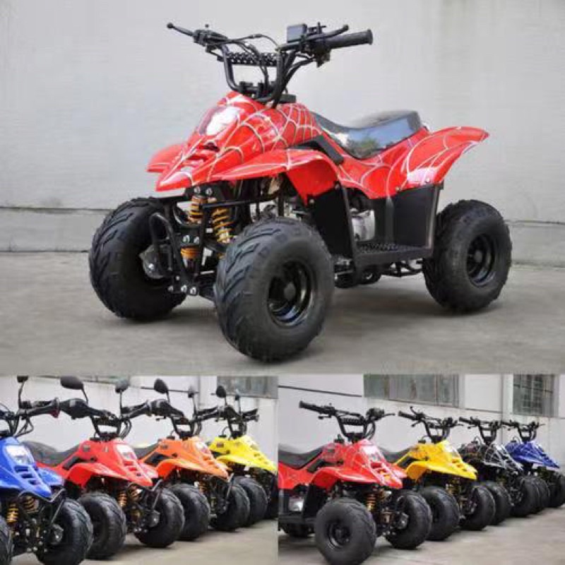 Atv ไฟฟ้า และน้ำมัน คันเล็ก(ไม่ใช่รถแบตเด็ก)49cc/800watt