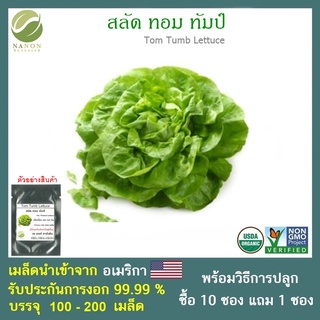 เมล็ดสลัด ทอม ทัมป์ จำนวน 100-200 เมล็ด