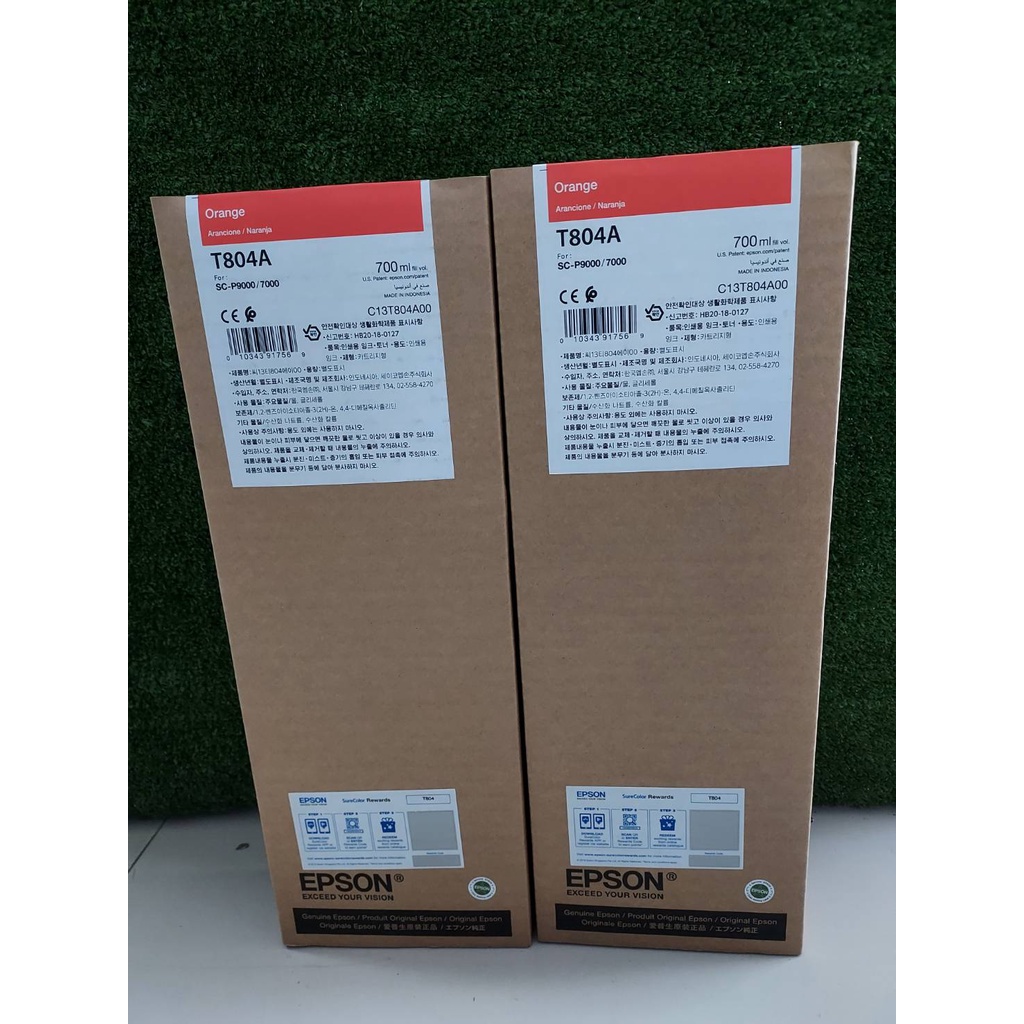 EPSON T804A00 Orang/SC-P9000/8000/7000/6000