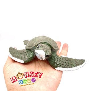 Monkey Toys - โมเดลสัตว์ เต่าทะเล เขียว ขนาด 13.00 CM (จากหาดใหญ่)