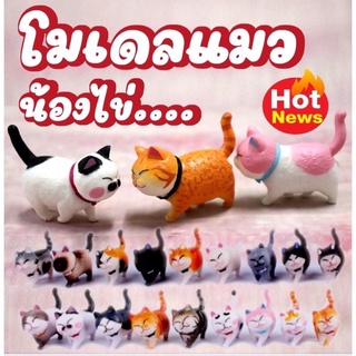 แหล่งขายและราคาโมเดล แมวน่ารัก โมเดลแมวไข่ โมเดลแมวจิ๋ว พร้อมส่งจากไทยอาจถูกใจคุณ