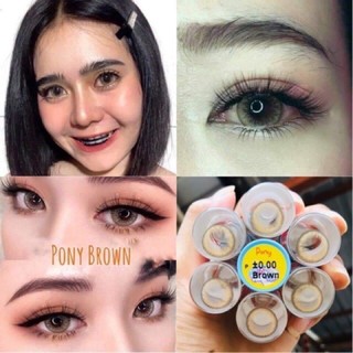 Bigeye Pony/Pola brown คอนแทคเลนส์ โพนี่/โพล่า สีนำ้ตาล(สายตาปกติ)จ