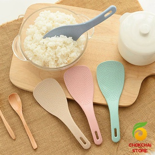 chokchaistore ทัพพีตักข้าว ข้าวไม่ติดทัพพี ทำจากฟางข้าวสาลี   wheat straw spoon