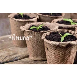 CHIATAI 🇹🇭 พีทมอส Peat Moss เจียไต๋ ดินเพาะกล้า ขนาด 20 ลิตร จำนวน 1 ถุง ดินเพาะเมล็ด สำหรับพืชสวนและผัก ดิน