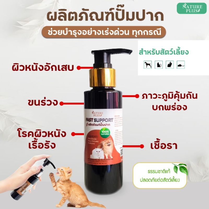 รูปภาพ 5