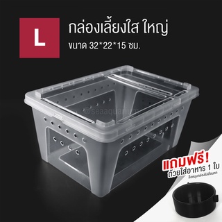 กล่องเลี้ยงสัตว์เลื้อยคลาน, เต่า, กบ, ตุ๊กแก, งู กล่องเลี้ยงสัตว์โปร่งใส มีรูระบายรอบกล่อง (พร้อมส่ง)