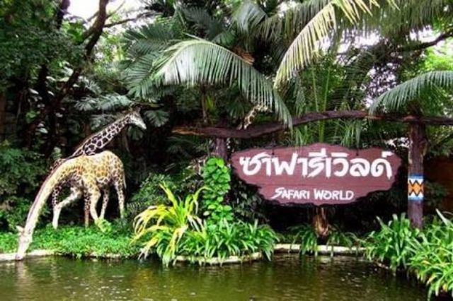 รูปภาพ 6