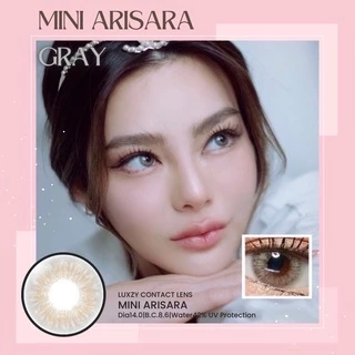 Luxzy Lens Arisara Gray /brown ค่าสาย0.00-1000