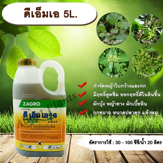 ดีเอ็มเอ 5L. สารกำจัดวัชพืช แบบดูดซึม ใบกว้าง กก หญ้ายาง ผักบุ้ง ผักโขม