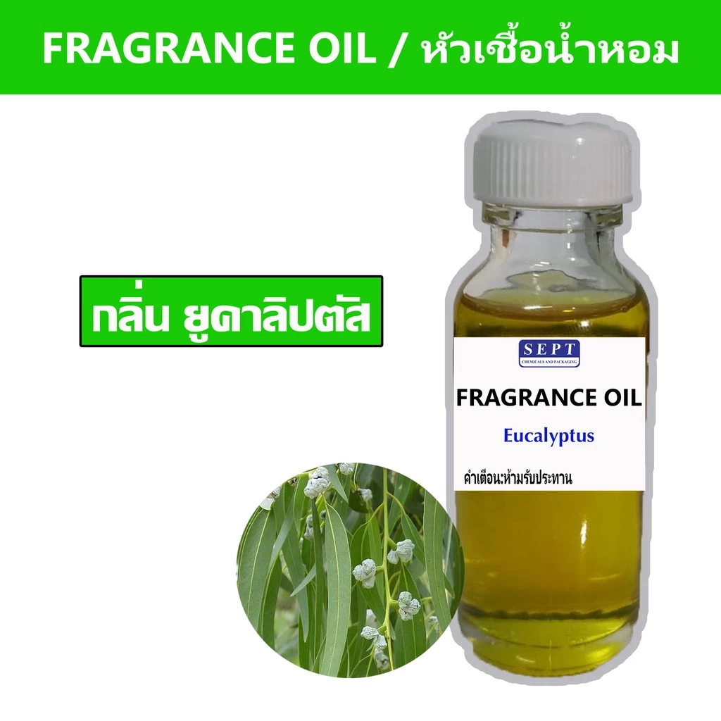 หัวเชื้อน้ำหอมกลิ่น ยูคาลิปตัส Eucalyptus ORANGE FRAGRANCE OIL ขนาด 30ml ทำน้ำหอมฉีดตัว สเปร์ยปรับอากาศ ปรับอากาศได้
