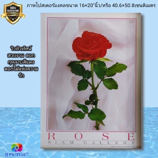 ภาพโปสเตอร์ ดอกกุหลาบสีแดง ดอกไม้แห่งความรัก บริสุทธิ์ ขนาด16×20"นิ้ว