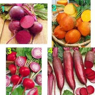 เมล็ดพันธุ์ บีทรูท (Beet Root) จำนวนเมล็ดอยู่ที่รายละเอียดสินค้าค่ะ