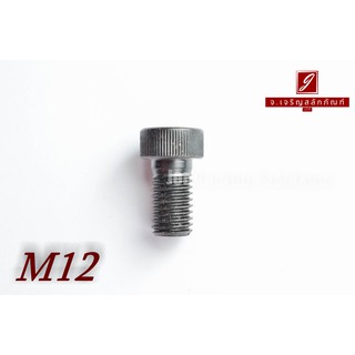 น็อตหัวจมหัวเตี้ยพิเศษ M12x21