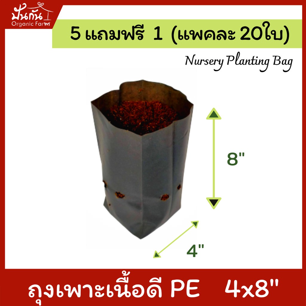 [5แถมฟรี1] ถุงปลูกต้นไม้ 4x8” ถุงเพาะชำ สีดำ เนื้อPE เหนียว เจาะรู แพคละ20ใบ [สั่ง5แพคแถมอีก1แพค] Nursery Planting Bag