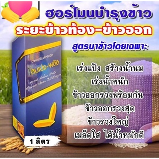 ลมเบ่งพลัส 🌾 ฮอร์โมนบำรุงข้าว ( 1 ลิตร ) สูตรบำรุงข้าวท้อง ข้าวออกโดยเฉพาะ เร่งแป้ง เร่งน้ำนม เมล็ดสวย เมล็ดใส น้ำหนักดี