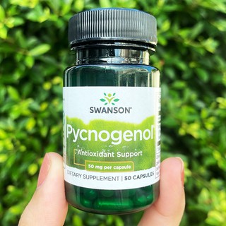 เปลือกสนฝรั่งเศสสกัด Pycnogenol 50mg 50 Capsules (Swanson®) สารสกัดเปลือกสนมาริไทม์ Antioxidant Support