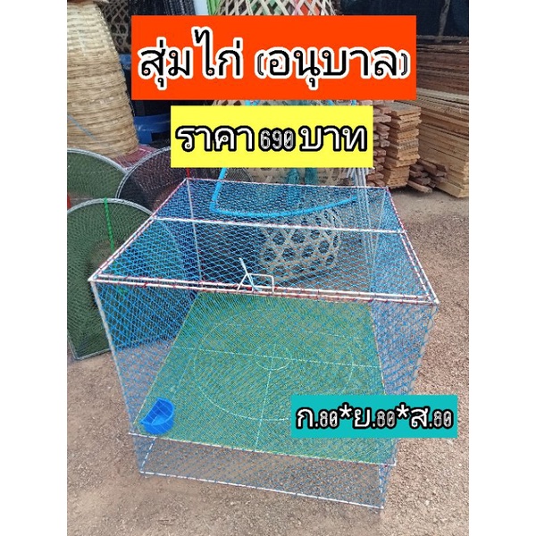 สุ่มไก่ (อนุบาล) สุ่มเหล็ก อนุบาลลูกไก่