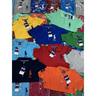 เสื้อโปโลเด็ก เกรดขึ้นห้าง หลายสี พร้อมส่ง