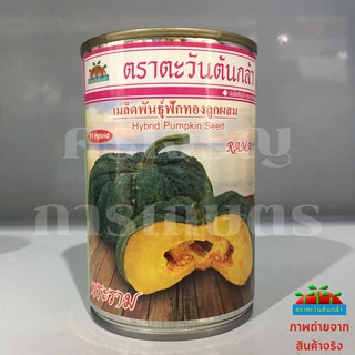 เมล็ดฟักทอง พระราม 50g ตะวันต้นกล้า